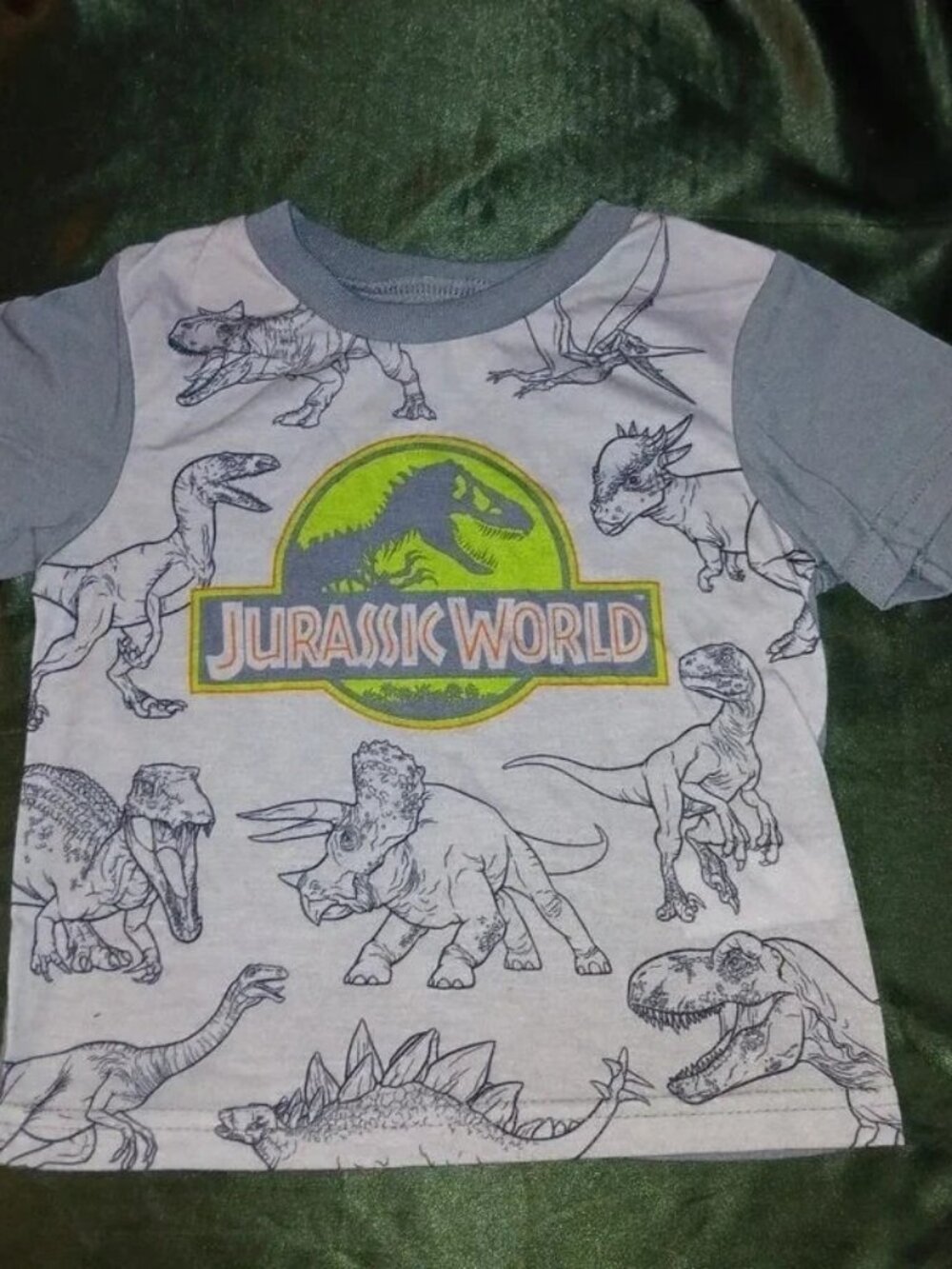 Jurassic World Boys Gray Dinosaur Graphic T-Shirt 2T